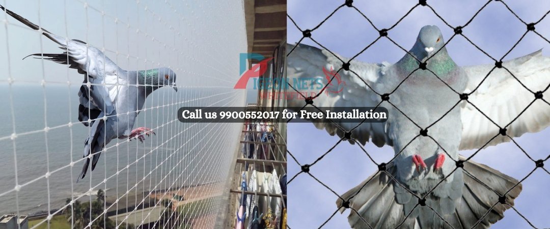 Bird Safety Net for Balcony in Whitefield