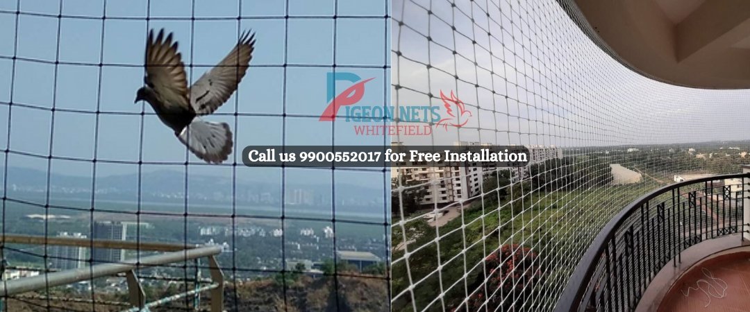 Bird Nets Price/Cost in Whitefield