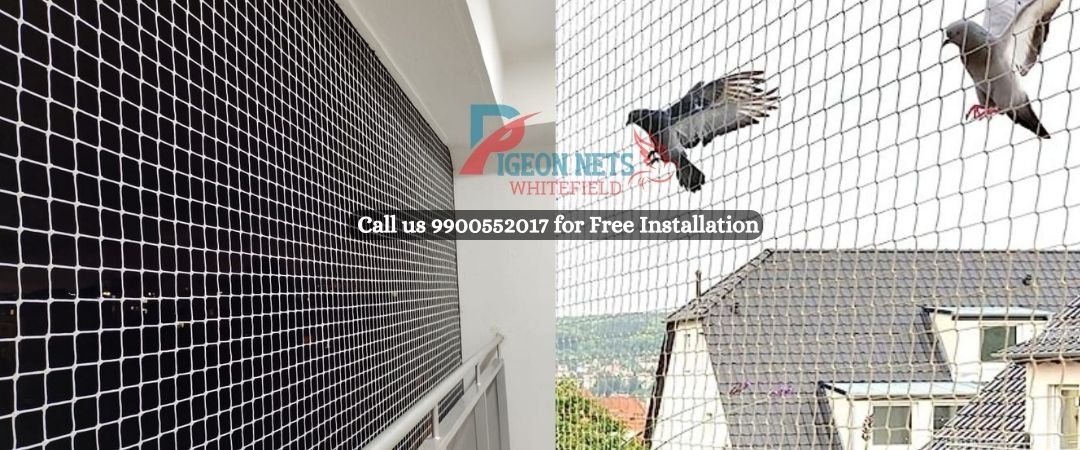 Bird Nets Fixing Near Me in Whitefield
